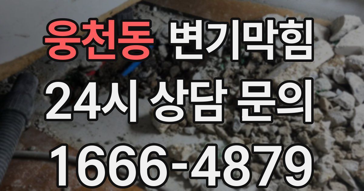 웅천동 변기
