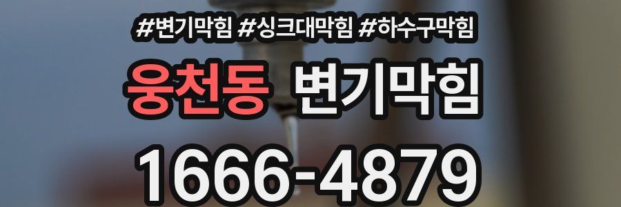 변기막힘