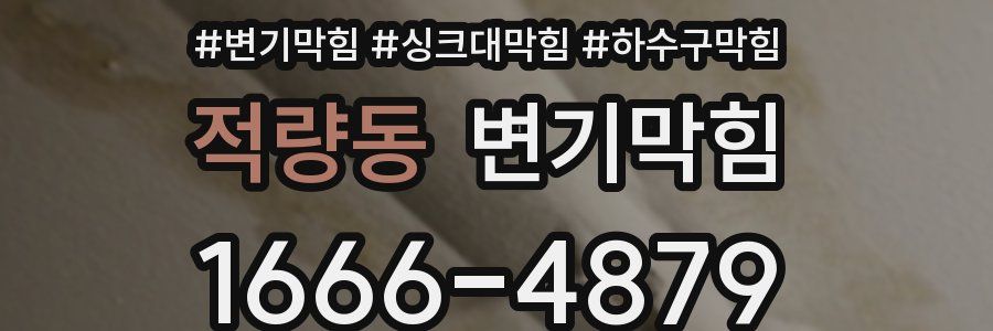 변기막힘