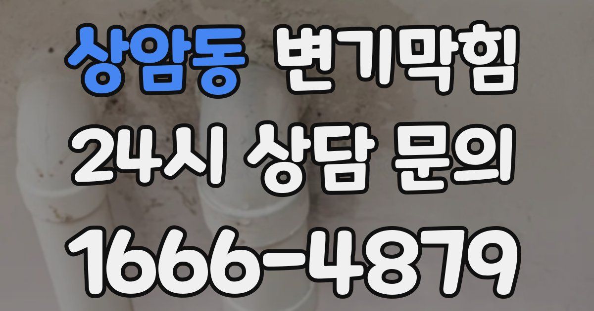 상암동 변기