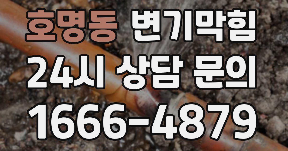 호명동 변기