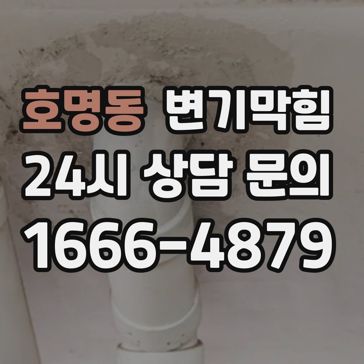 호명동 변기막힘