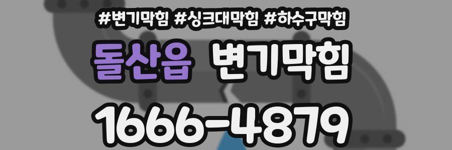 변기막힘