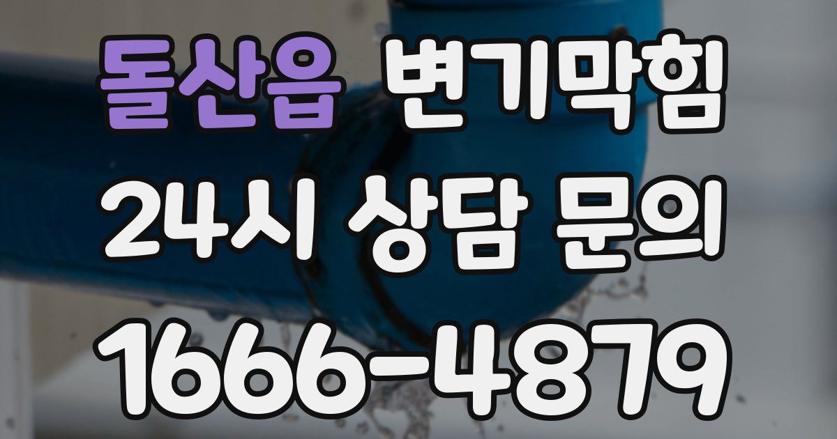 돌산읍 변기