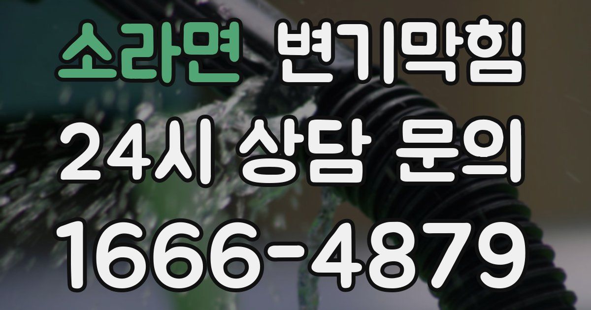 소라면 변기
