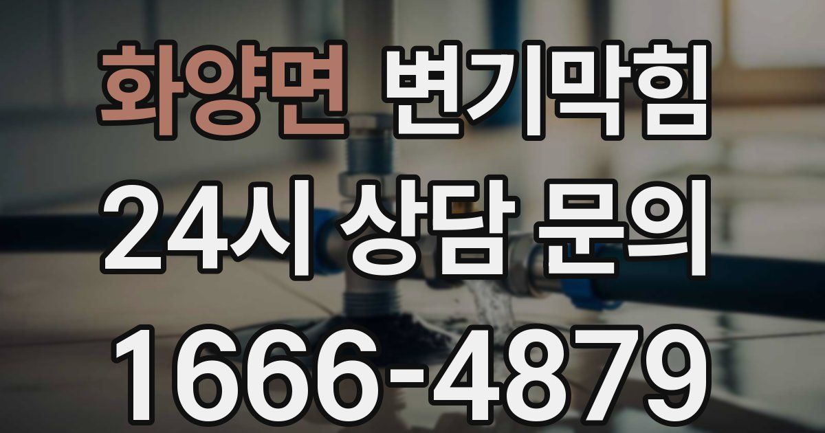 화양면 변기