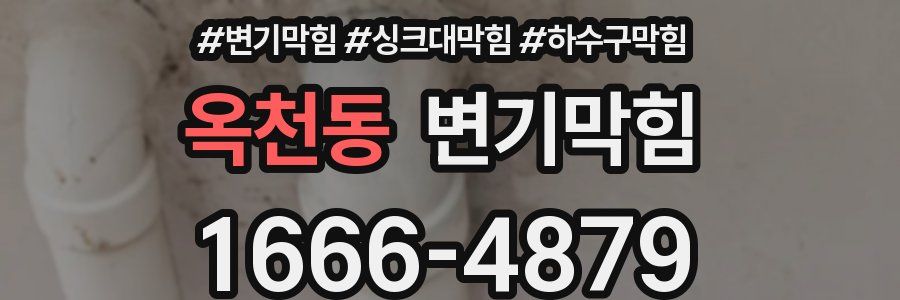 변기막힘