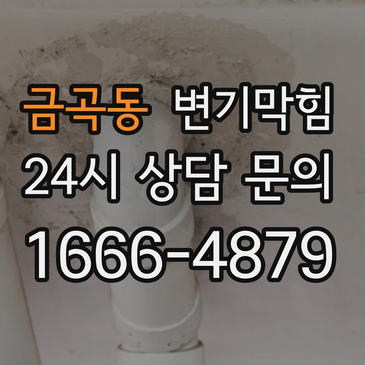 금곡동 변기막힘 카페 배수구막힘 냄새 라인 봉쇄