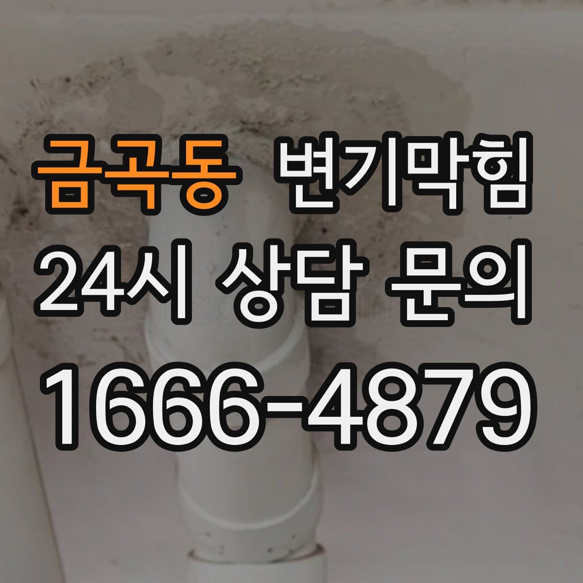 금곡동 변기막힘