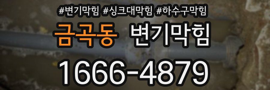 변기막힘