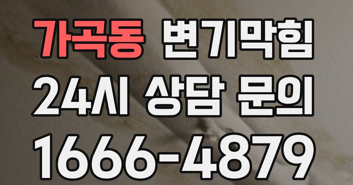 가곡동 변기