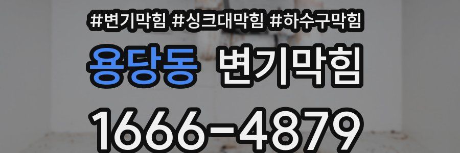 변기막힘