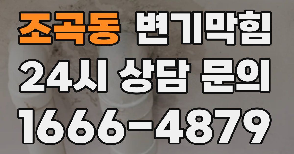 조곡동 변기