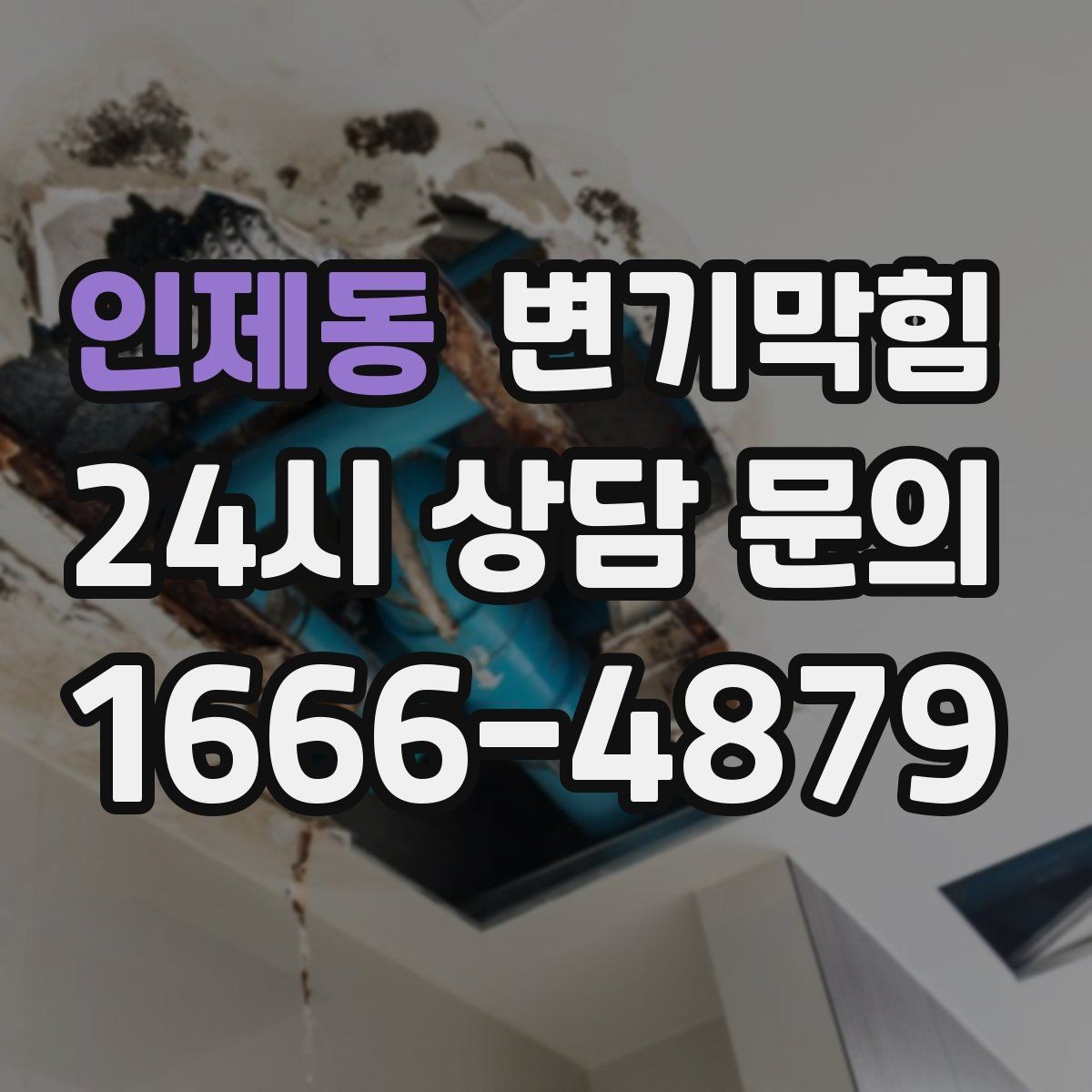 인제동 변기막힘 단독 주택 배수구막힘 누수 루트 차단