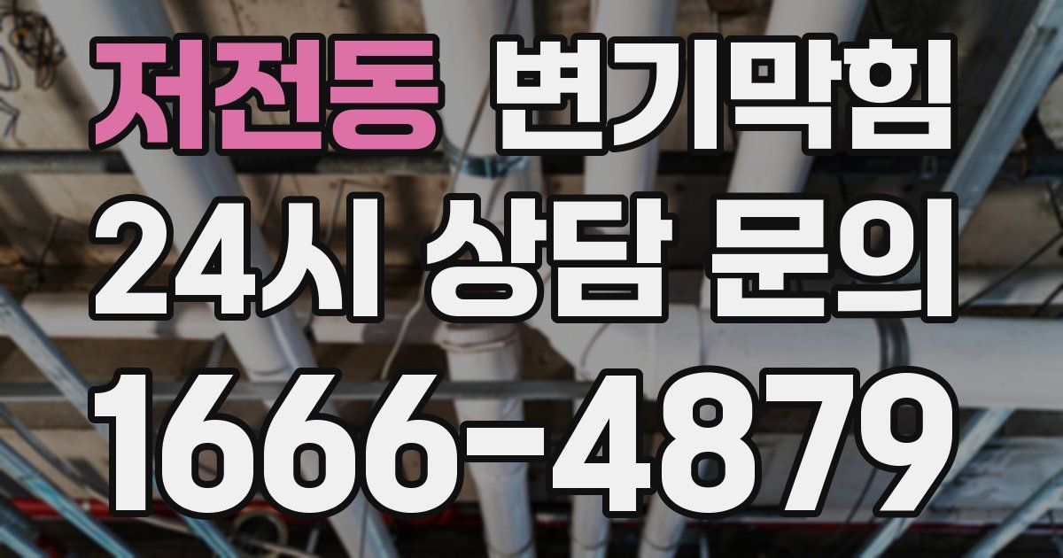 저전동 변기