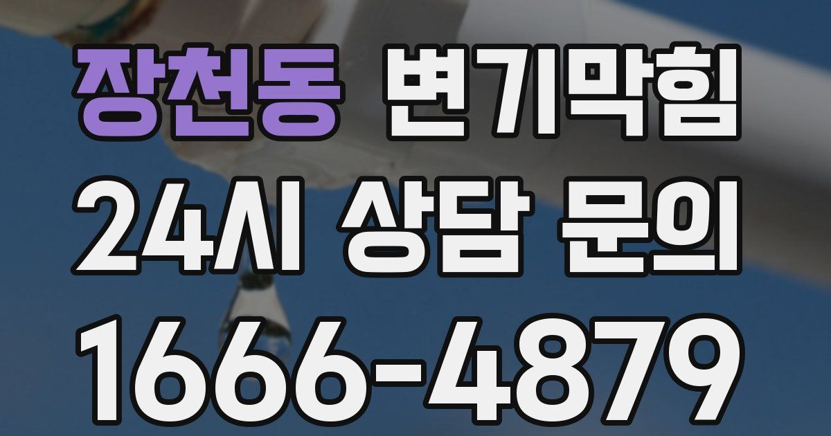 장천동 변기
