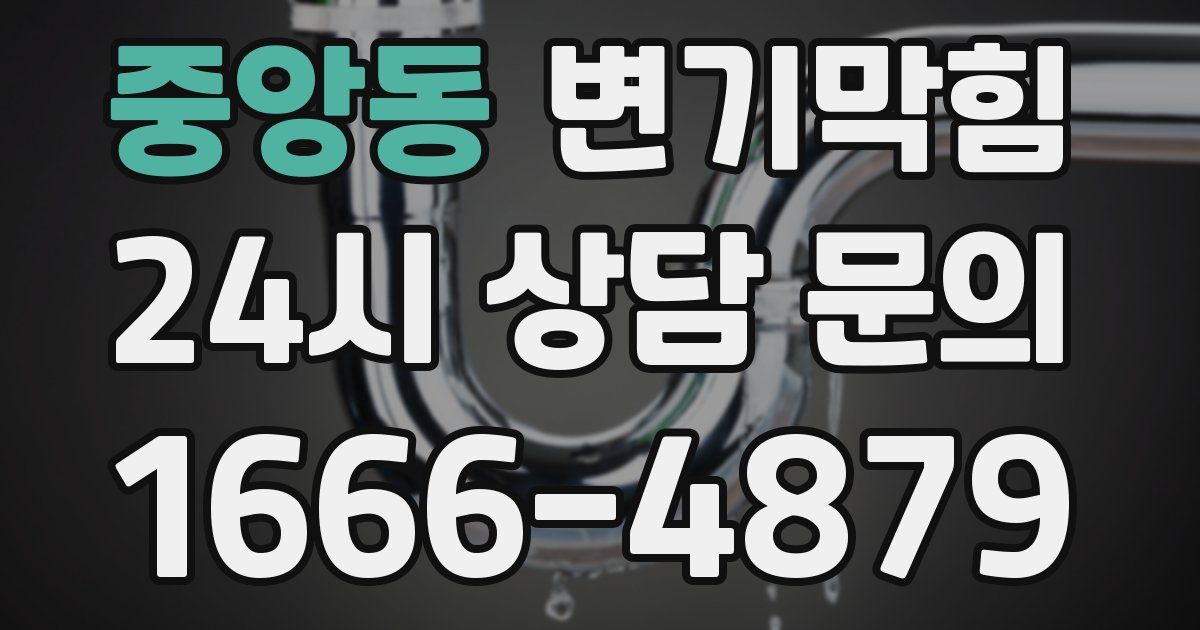 중앙동 변기