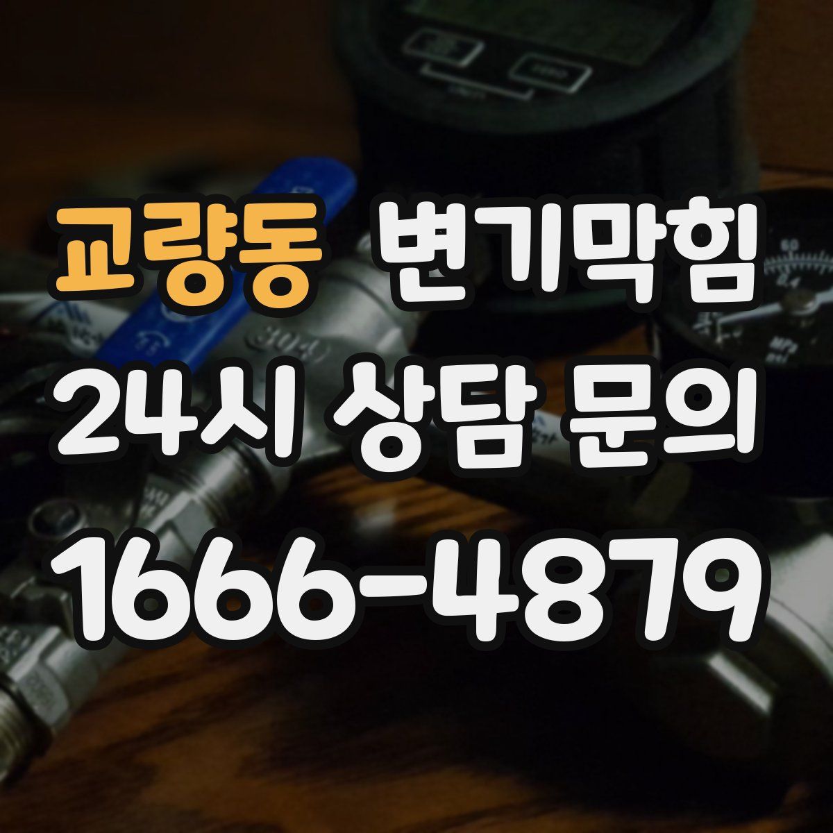 교량동 변기막힘