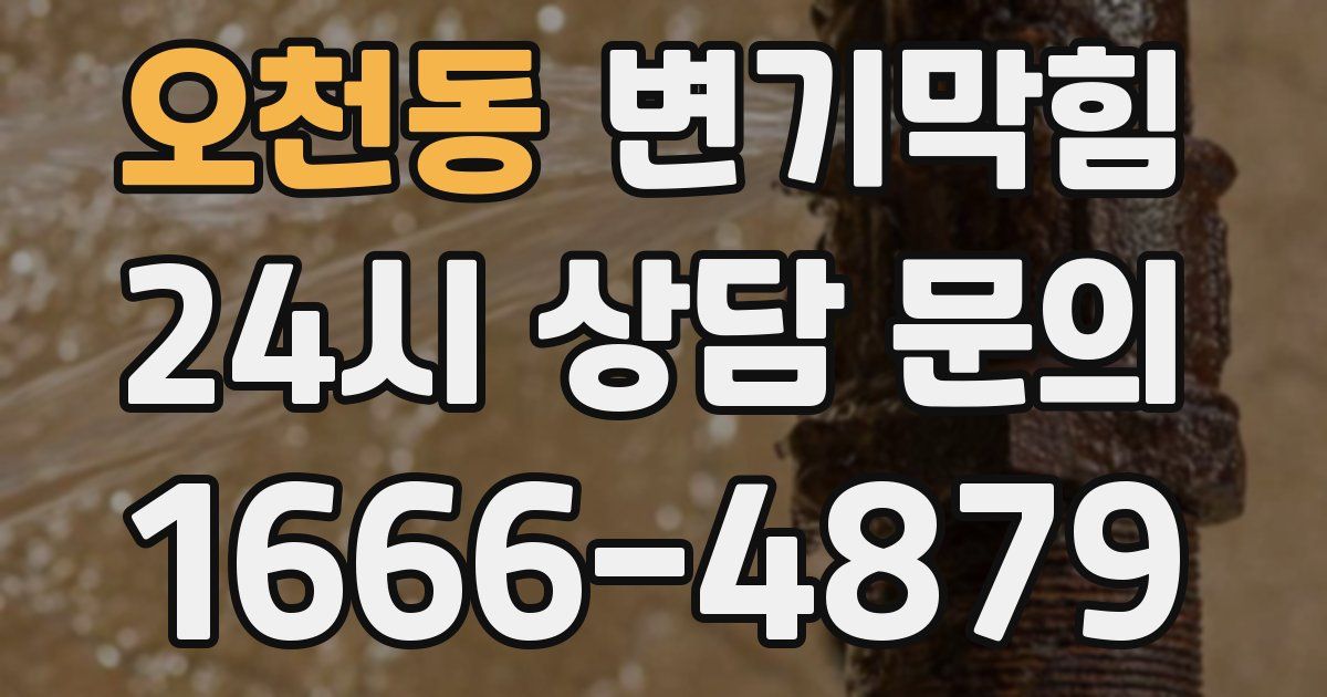 오천동 변기
