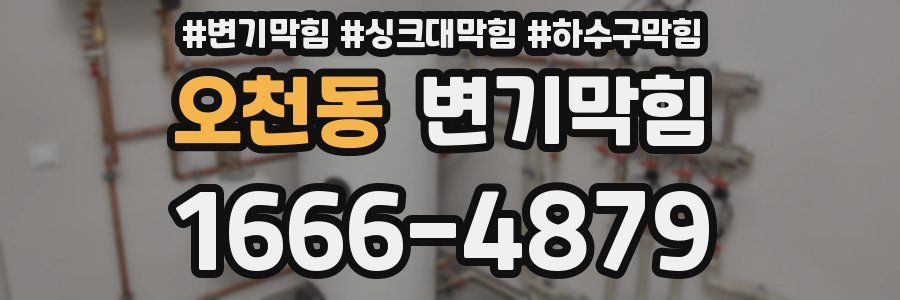 변기막힘