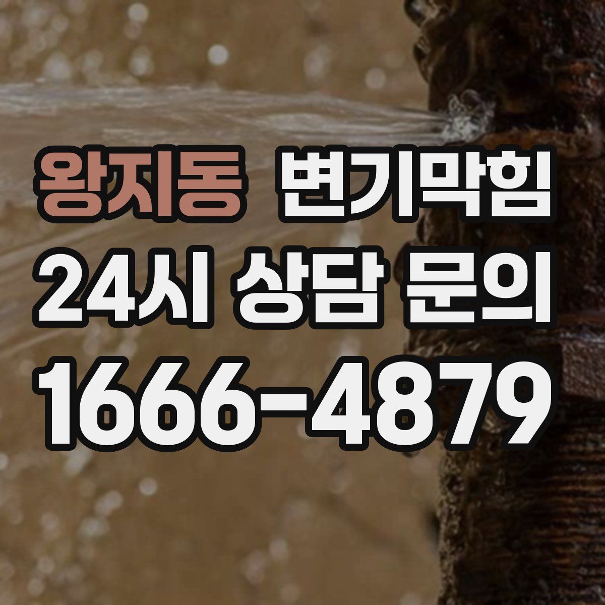 왕지동 변기막힘