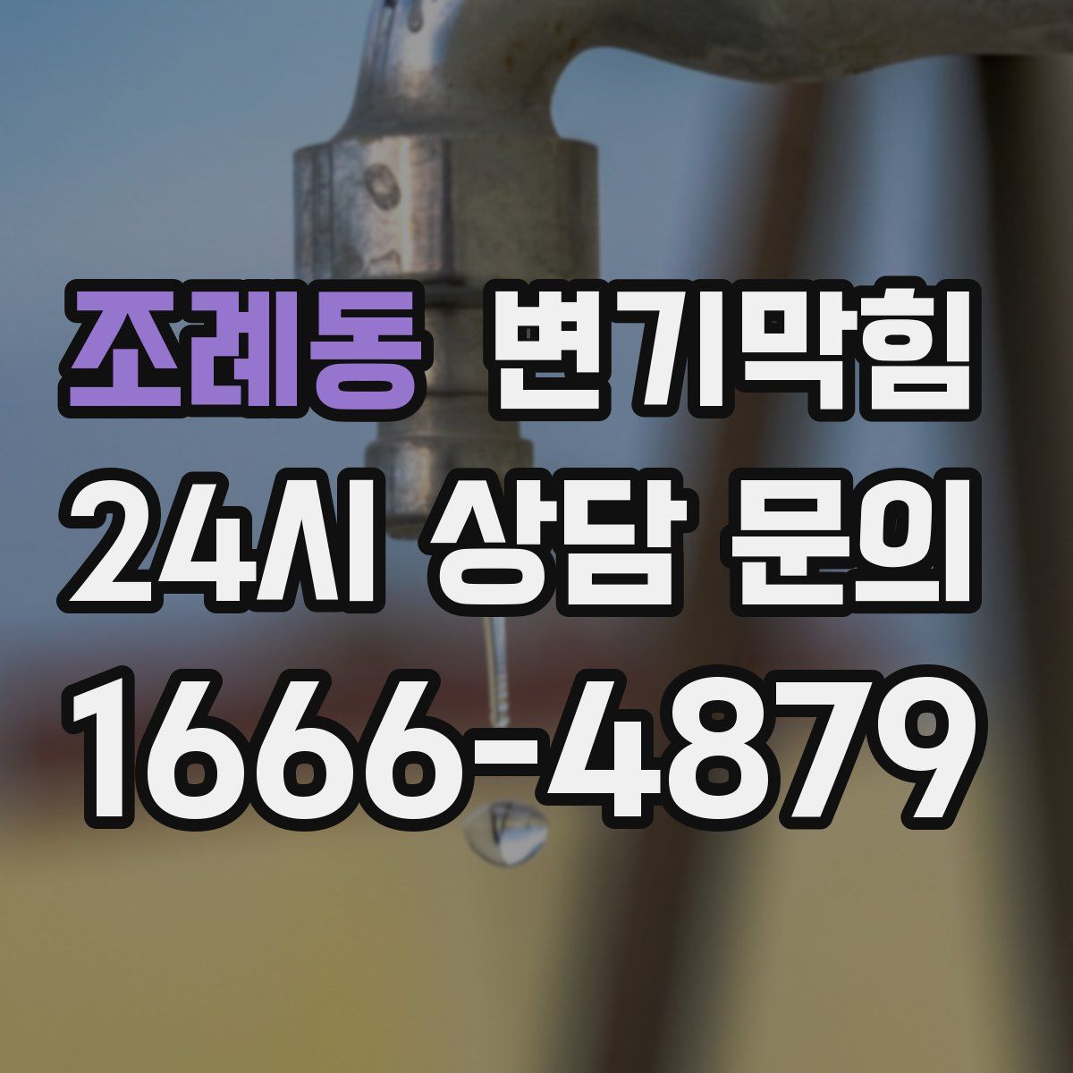 조례동 변기막힘
