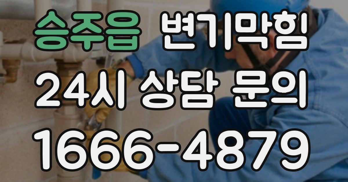 승주읍 변기