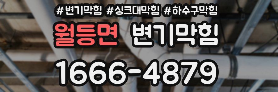변기막힘