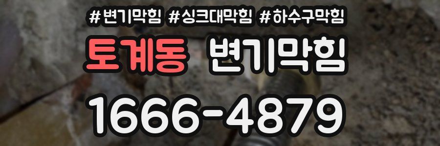 변기막힘