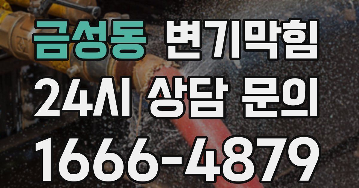 금성동 변기