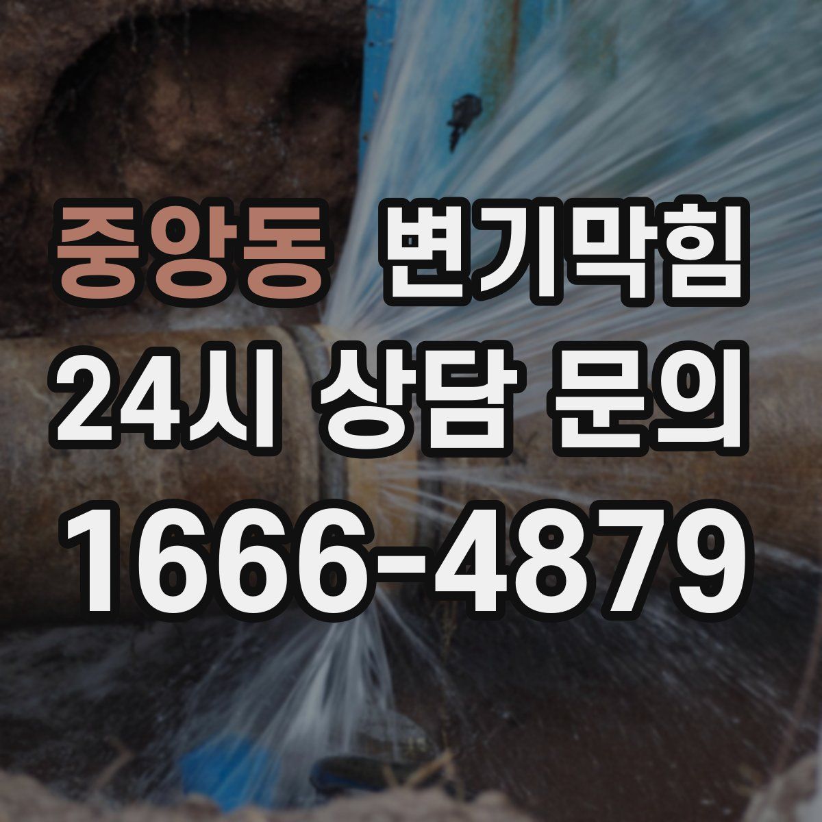 중앙동 변기막힘
