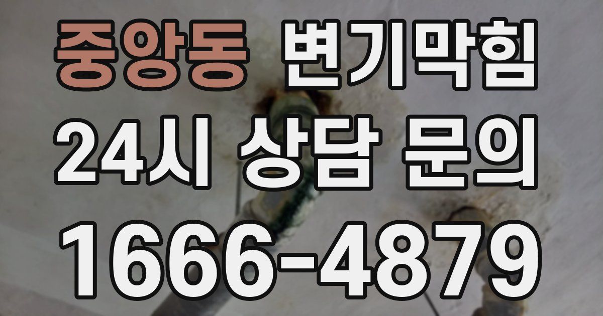 중앙동 변기