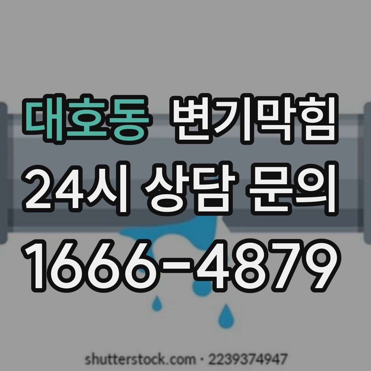 대호동 변기막힘