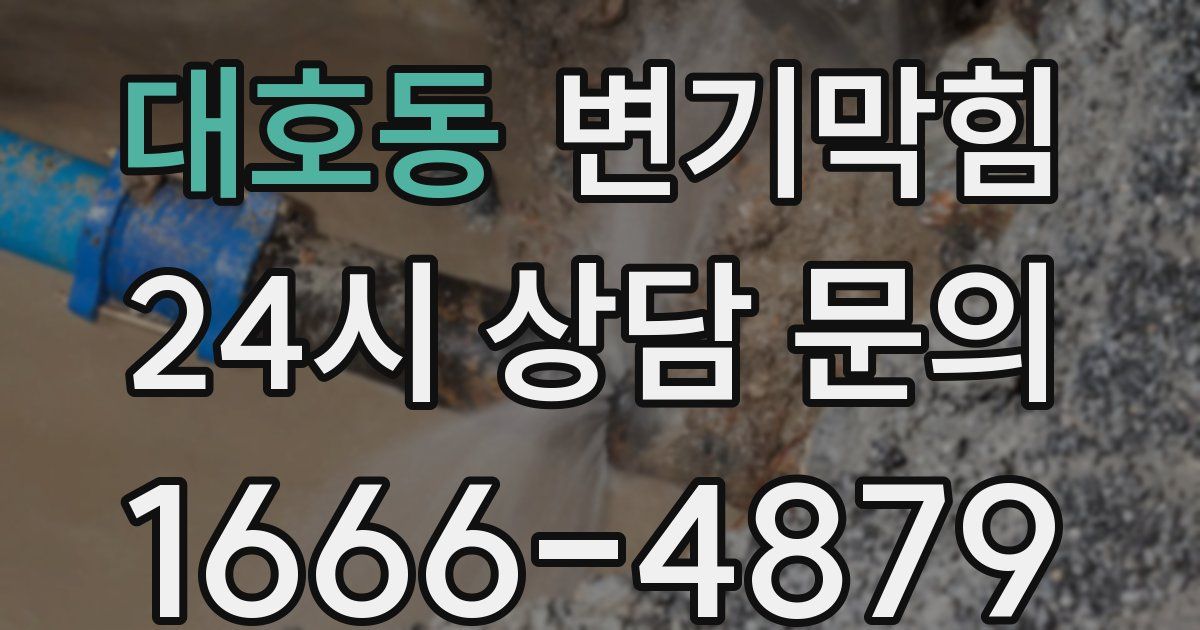 대호동 변기