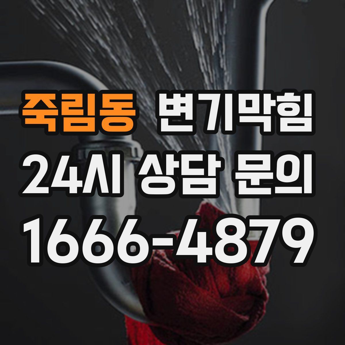 죽림동 변기막힘