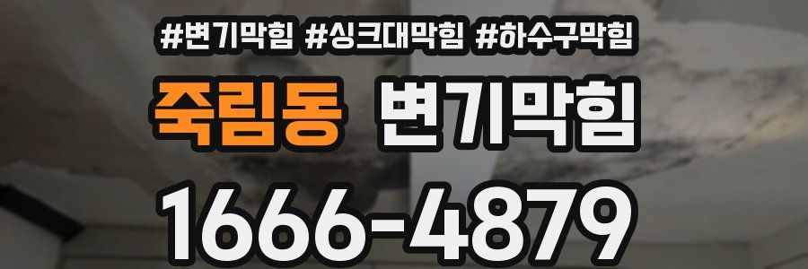 변기막힘