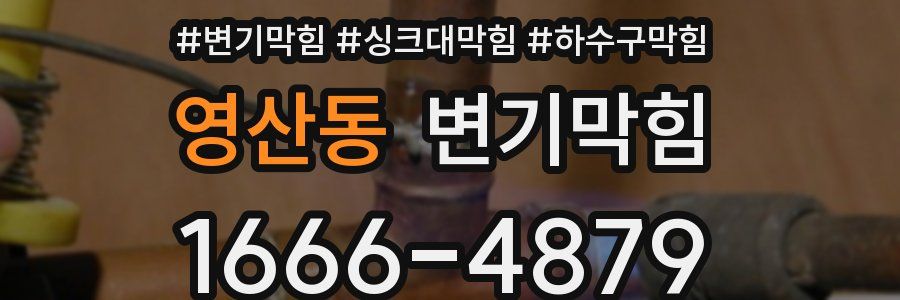 변기막힘