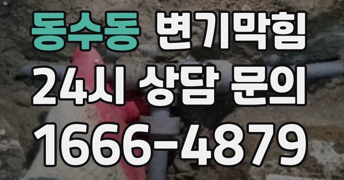 동수동 변기