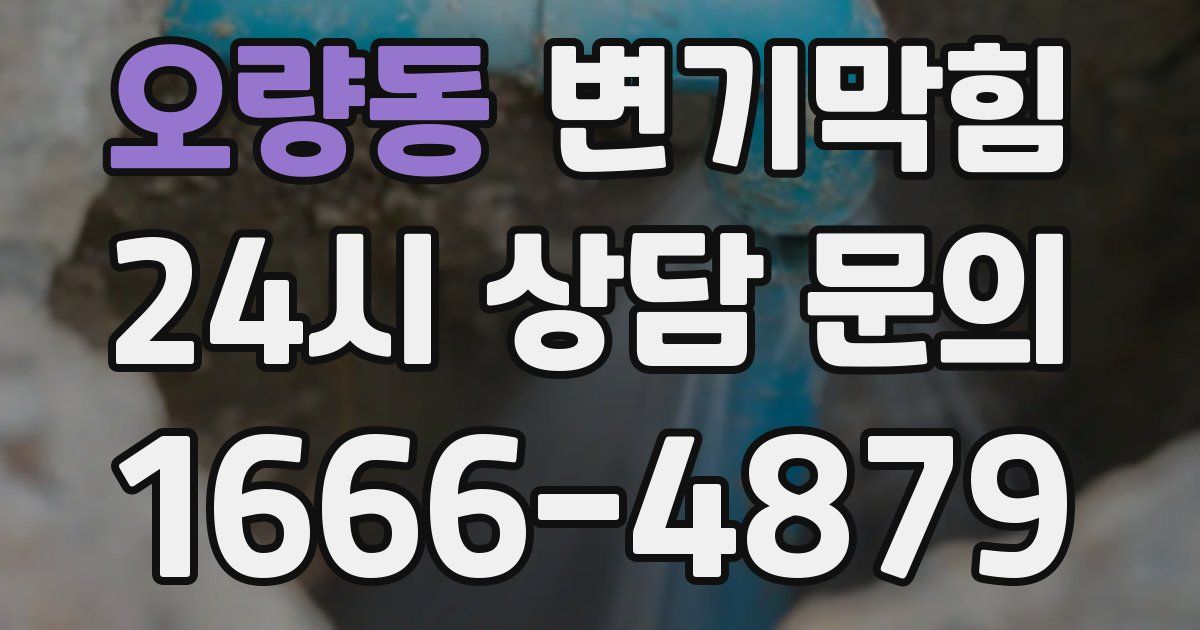 오량동 변기