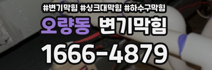 변기막힘