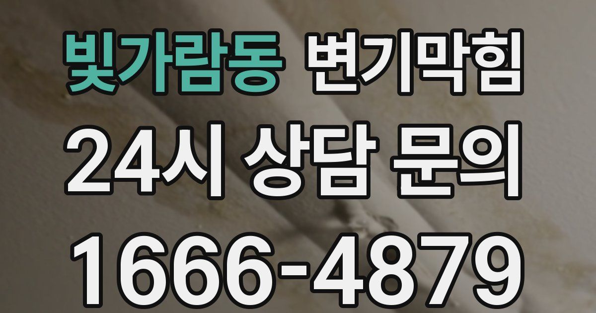 빛가람동 변기