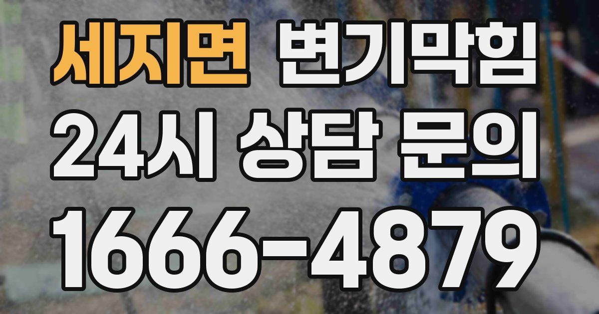 세지면 변기