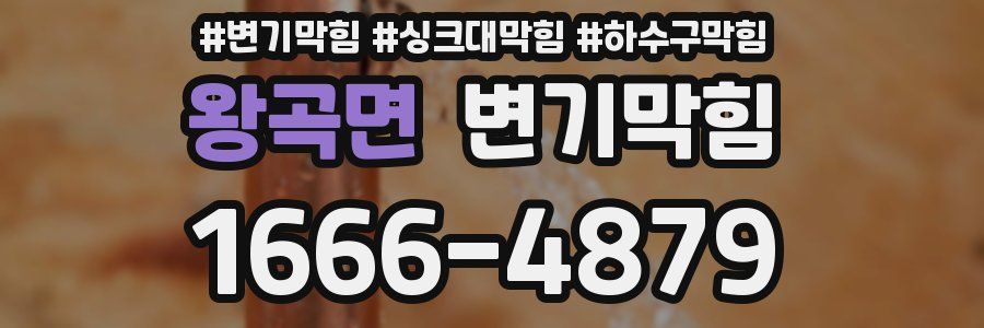 변기막힘