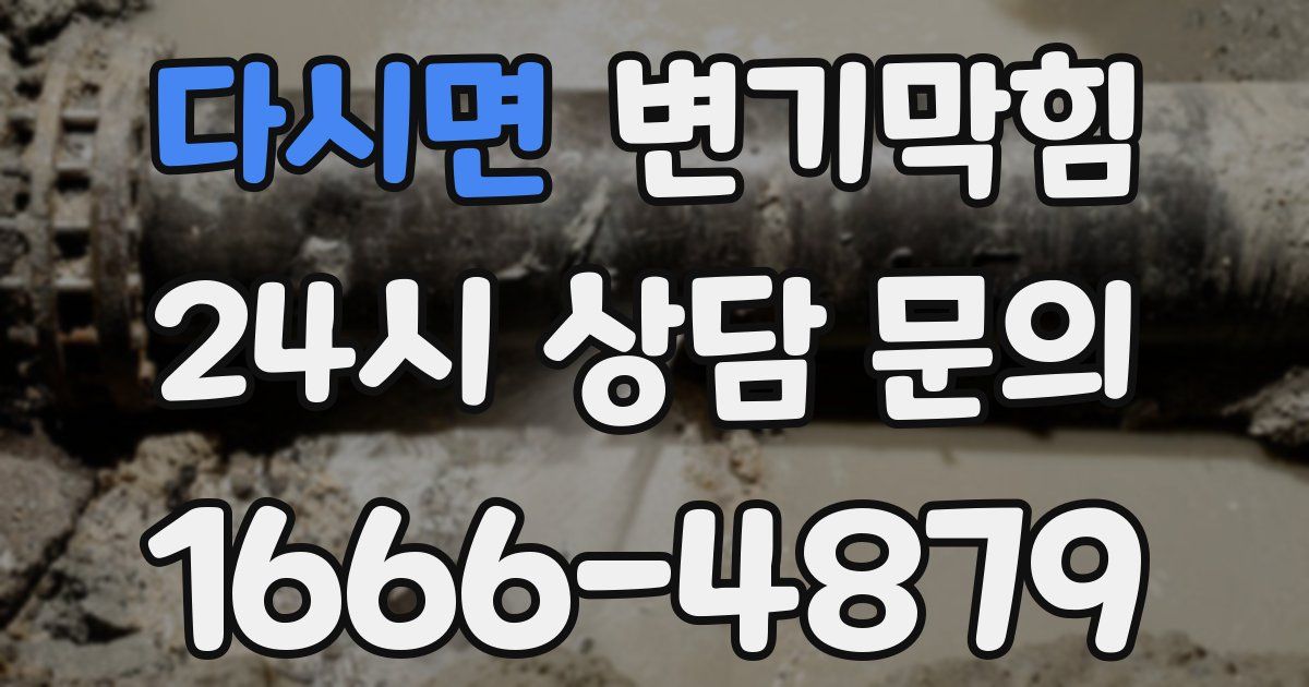 다시면 변기