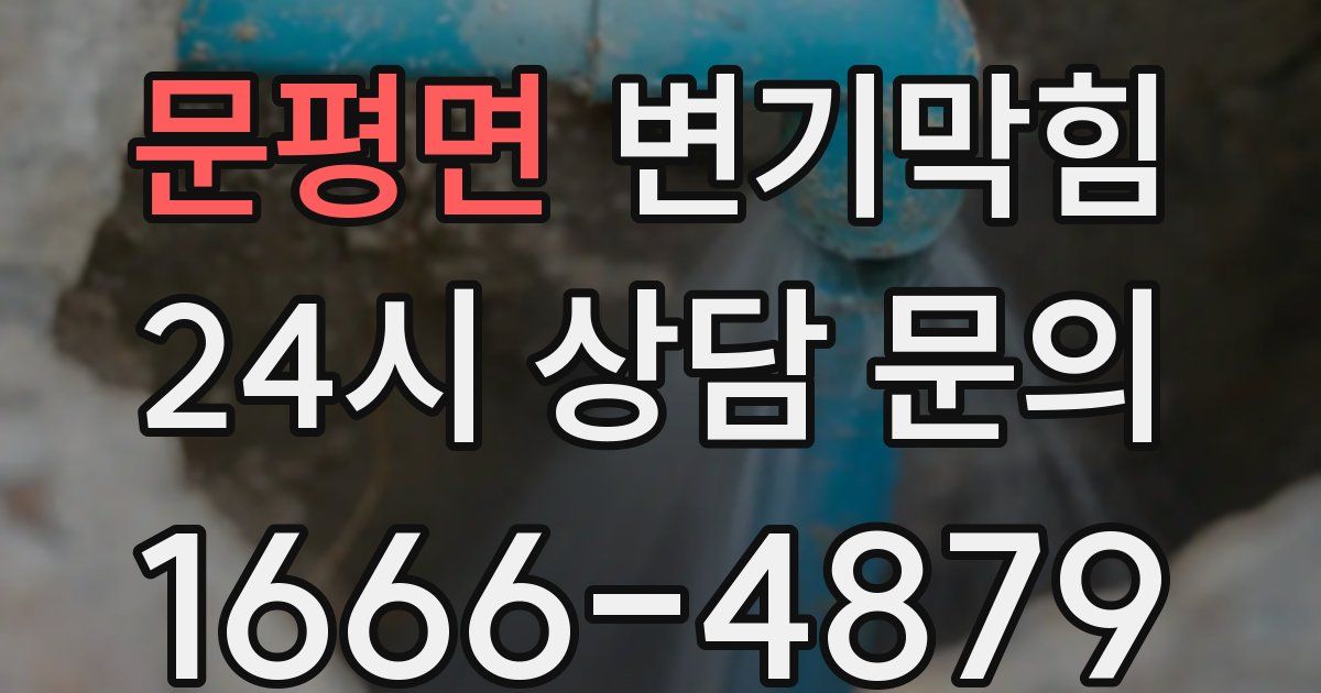 문평면 변기
