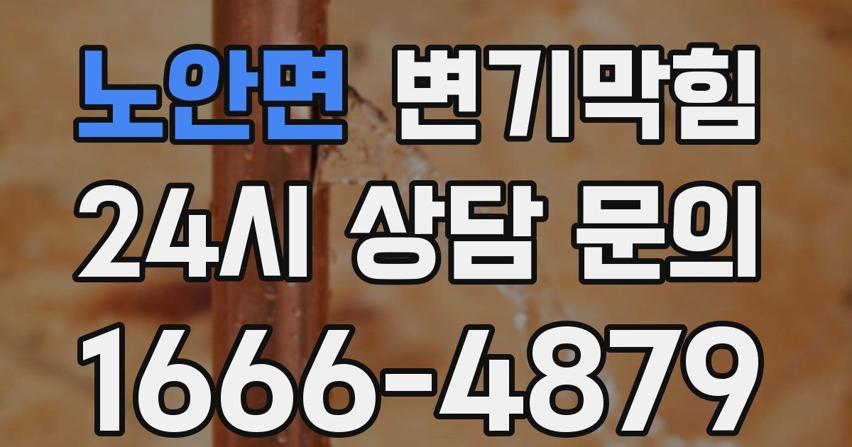 노안면 변기