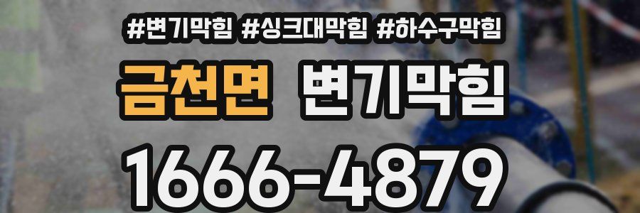 변기막힘