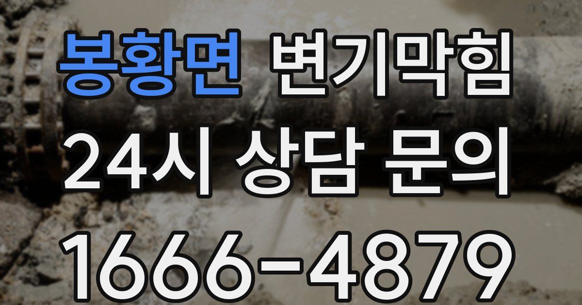 봉황면 변기