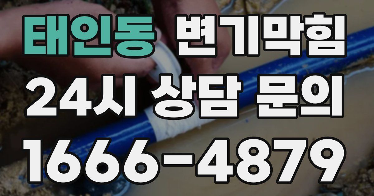 태인동 변기