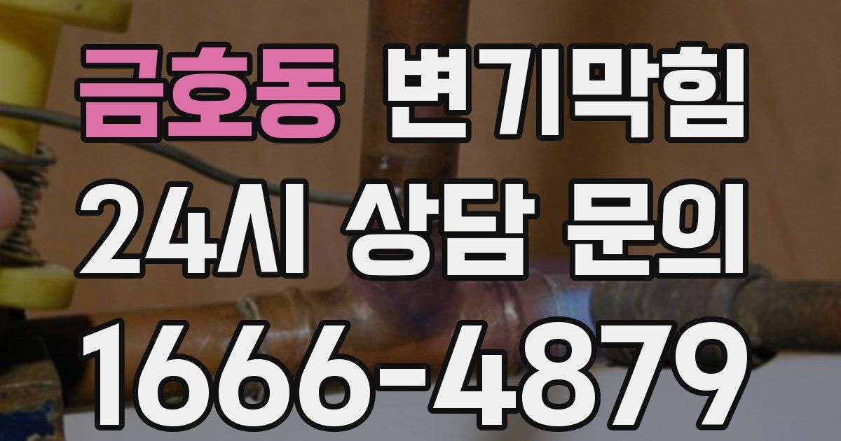 금호동 변기